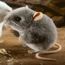 Grey Mouse by Kosen / Kösen -