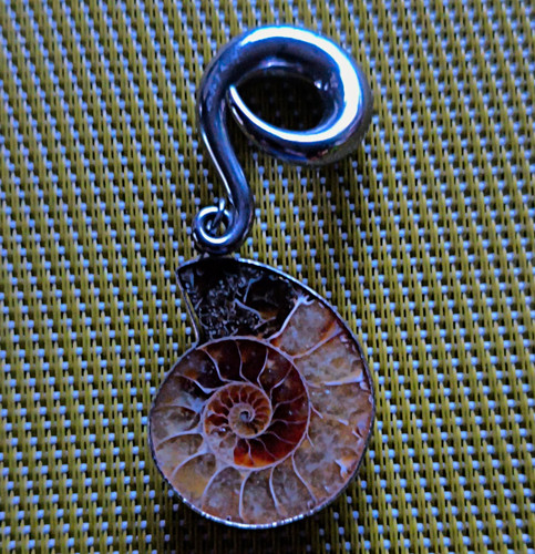 Ammonit fossil anhänger - ammonit,