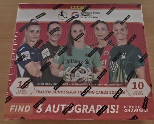 Panini google pixel - google,
