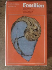 G. Krumbiegel H. Walther
