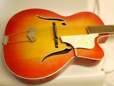 Schlaggitarre/Jazzgitarre