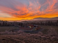 NEU!!Pensionsplatz für Pferd