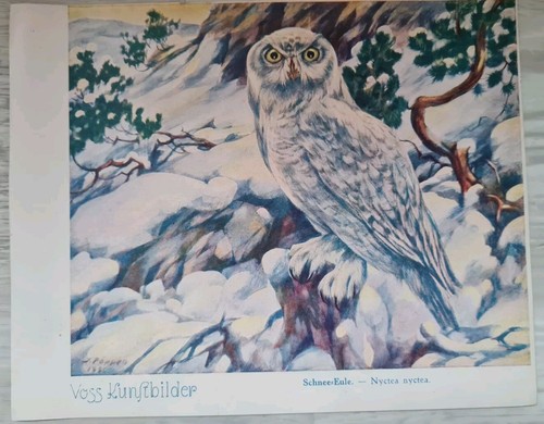 Voss margarine kunstbilder - margarine,