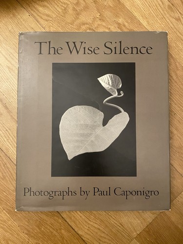 The wise silence paul - the,