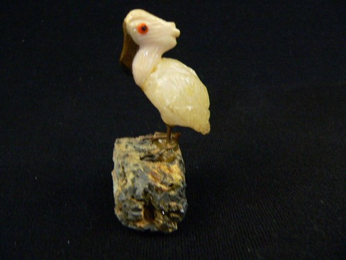 Vogel wasservogel - vogel,
