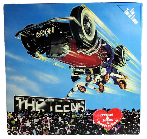Vinyl the teens - 12",
