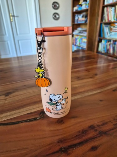 Starbucks peanuts tumbler - starbucks, x