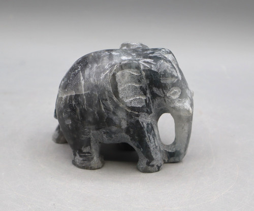 Wunderschöner elefant aus - wunderschöner,
