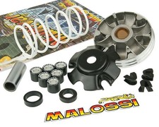 Variomatik MALOSSI Multivar 2000 für PIAGGIO NRG TPH ZIP APRILIA SR 50 VESPA ET