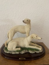 Große Windhund Greyhound