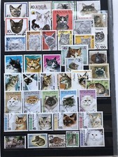 Sammlung Katzen auf 2 gr. Albumseiten