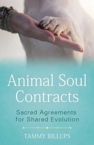 Animal soul contracts - contracts:, sacred