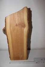 Holzwurzeln Schmemmholz DIY