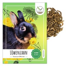 Löwenzahn Samen für Kaninchen - Wildkräuter Saatgut als optimale Futterergänzung