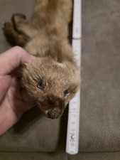 Echt Pelz Stola Schal Marder 3