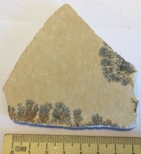 Wunderschöne Eisen-Mangan