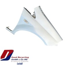 Fiat Punto 199 Kotflügel