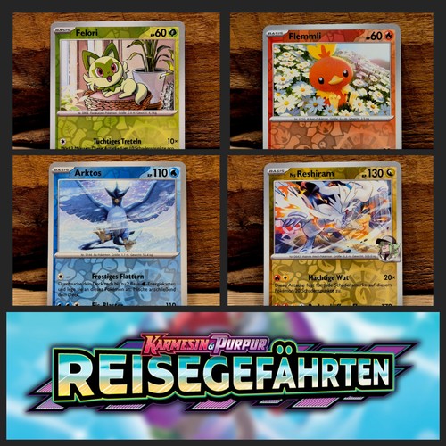 Pokemon reisegefährten - "reisegefährten",