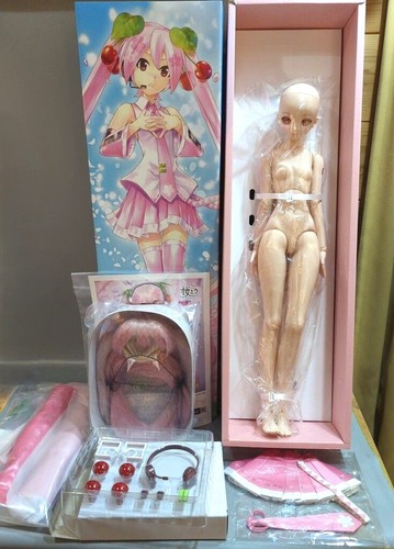 Volks sakura miku - sakura,