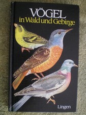Vögel in Wald und Gebirge -