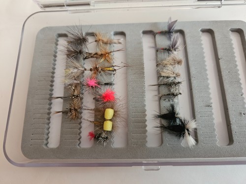 Fliegenfischen trockenfliegen - fliegenfischen,