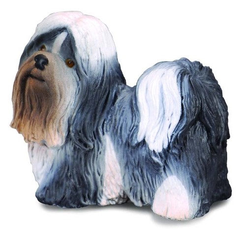 Shih tzu hunde und - tzu, 3,5