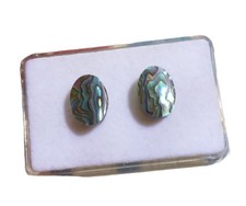 1 Paar Paua Muschel Abalone