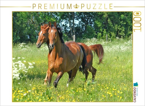Calvendo puzzle ein - puzzle, aus