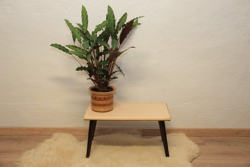 Ddr blumenbank blumenhocker - blumenbank,