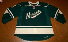 Minnesota Wild * 13/14 * No. 4 * Clayton Stoner * green/alternate/set 1 (5 games