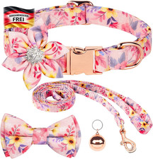 Hundehalsband Leine Set