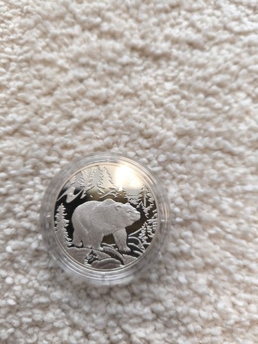 Rubel bear 2009 - 3, 1