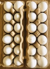 24 ausgeblasene weiße