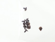 E1641 Fleischmann N 757010 Ersatzteil 10x Steckpuffer re für 7427/7428