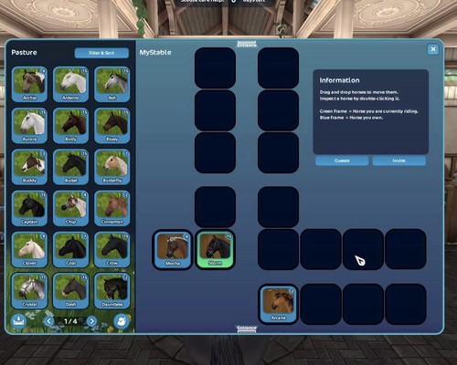 Star stable account - star,
