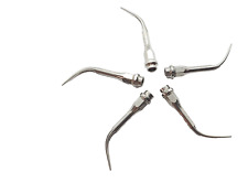 5 ZEG Spitze Scaler Tips