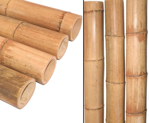 Bambusrohr moso natur - moso, 100cm