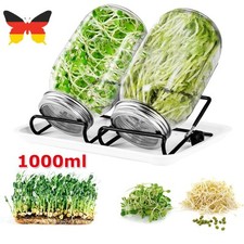 NEU 2er Set Sprossenglas