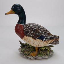 Zavoli Mallard Duck