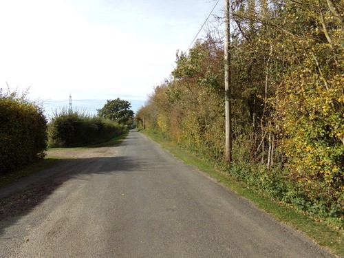 Foto 6x4 boley road white - foto,