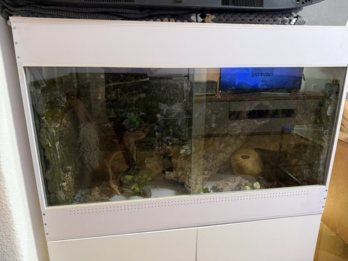 Terrarium 120x60x60