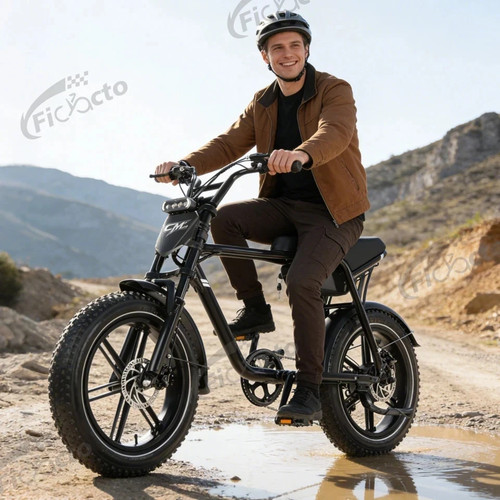 Zoll elektrofahrrad 48v - 20,