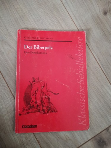 Klassische schullektüre der - schullektüre, /