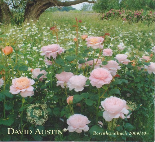 Rosenhandbuch 2009 2010 - rosenhandbuch,