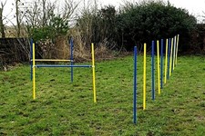 AGILITY-ÜBUNGS-SET in blau /