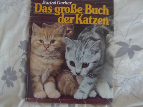 Das große buch der katzen - das,
