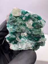 Premium Dioptas - Malachit -