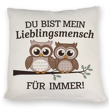 Zwei niedliche Eulen