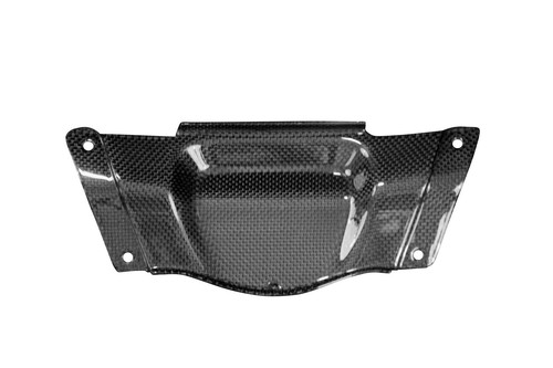 Carbon hintere