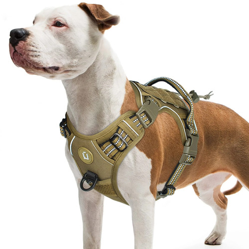 Taktisches hundegeschirr - taktisches,